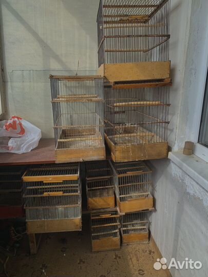 Клетки для птиц деревянные, пластиковые