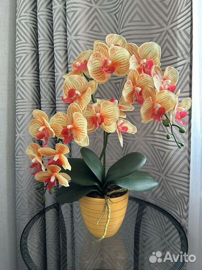 Искусственная орхидея Real touch из латекса