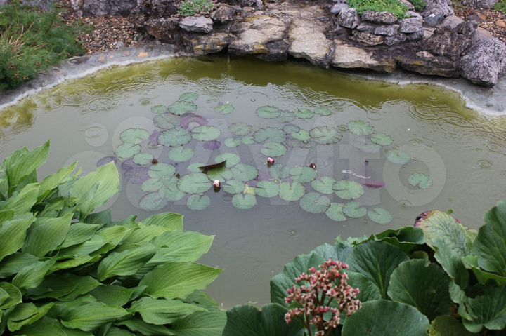 Дом 180 м² на участке 18 сот.