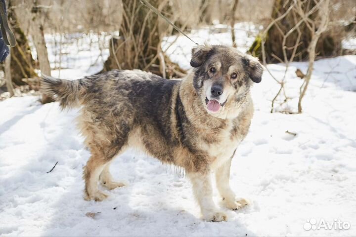 Ищет дом классная большая Мадина