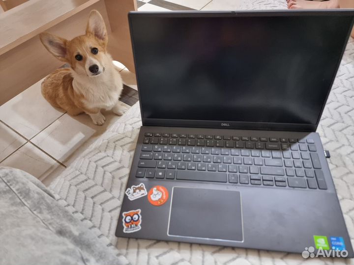 Продам ноутбук Dell p102f002