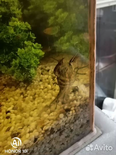 Украшение для аквариума