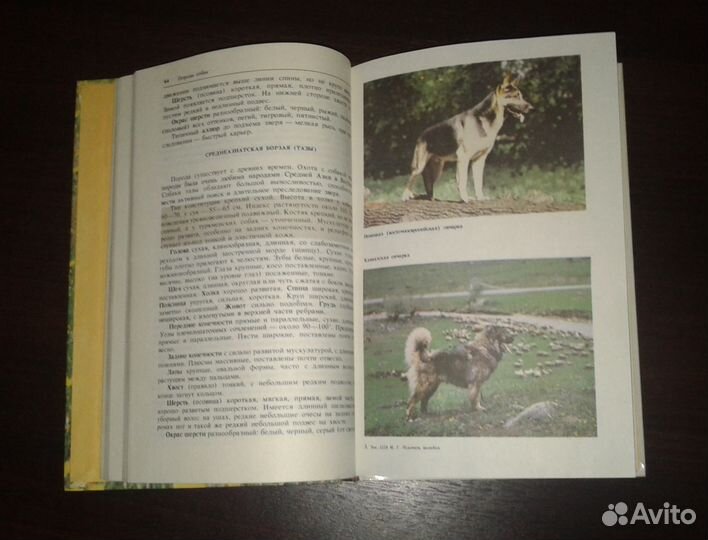 Книги о собаках