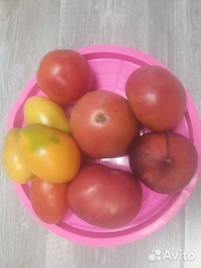 Помидоры свежие домашние