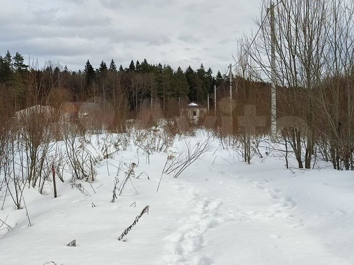 Участок 6,5 сот. (ИЖС)