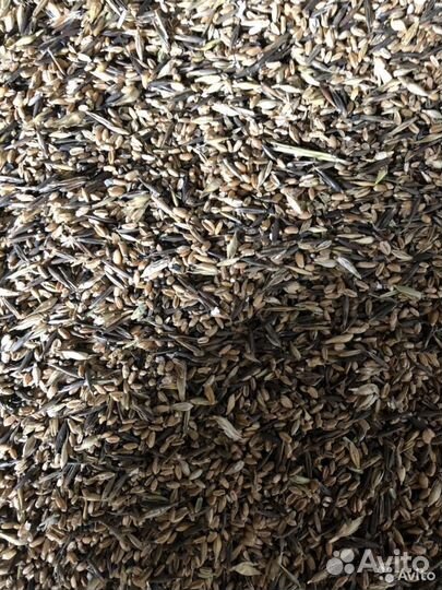 Зерноотходы, комбикорм