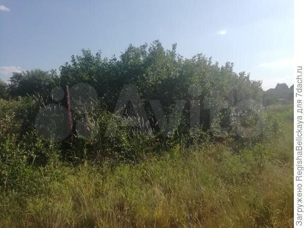 Участок 6 сот. (СНТ, ДНП)