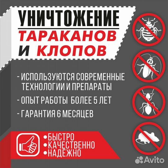 Уничтожение тараканов и клопов