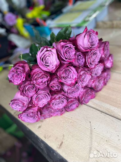 25 роз букет из роз Эквадор доставка