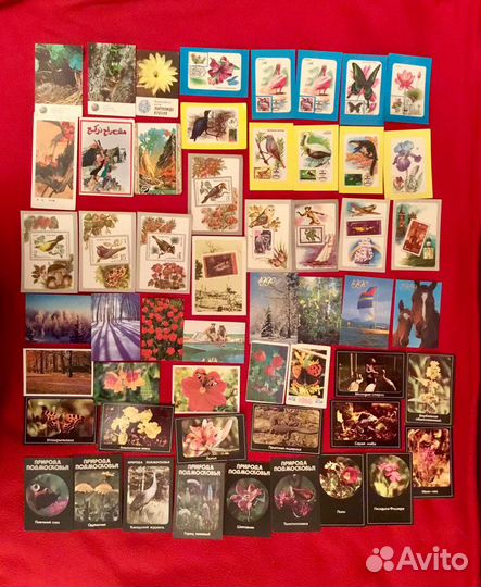 Календарики серии76-10гг машинки,животные,артисты