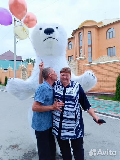 Белый мишка поздравление ростовой медведь аниматор