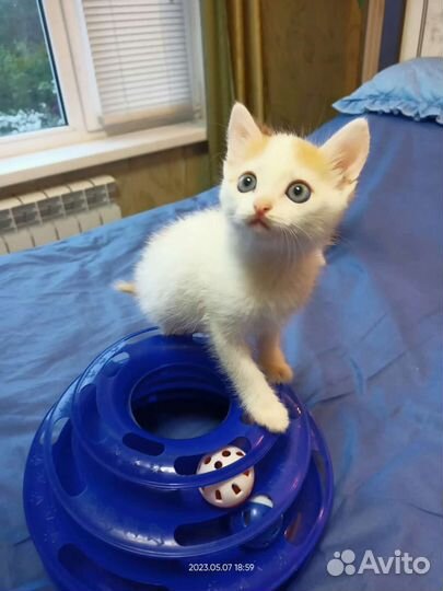 Девочка 1,5 месяца