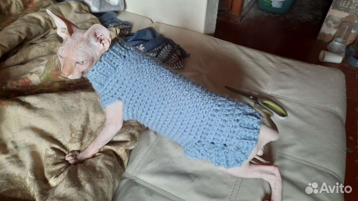 Жилетка для кошки и поводки