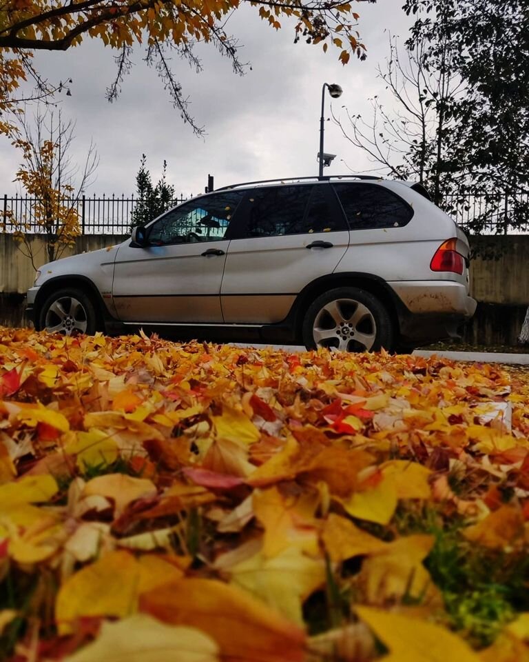 BMW X5: фото владельца