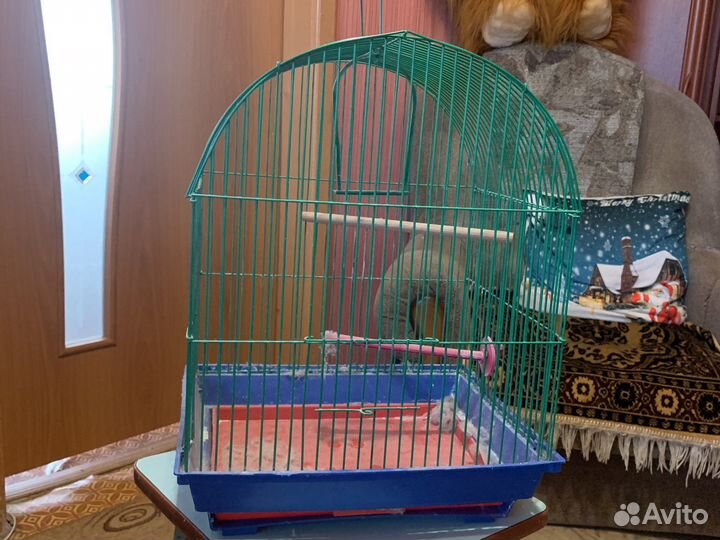 Клетка для птиц бу