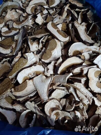 Продам сушеные, соленые белые грибы