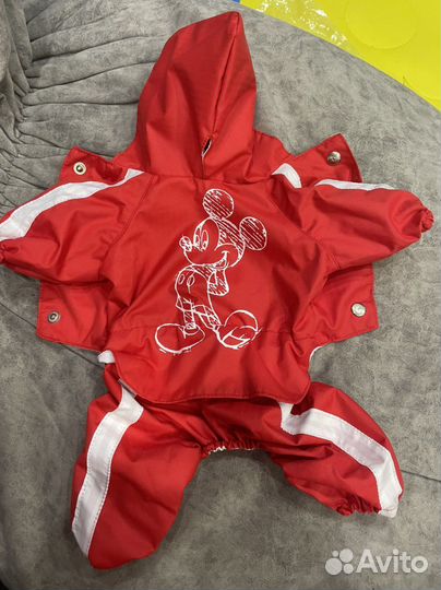 Комбинезон для мелкой собаки