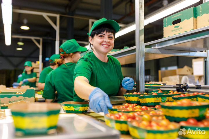 Упаковщик (сортировщик) овощей и фруктов вахта