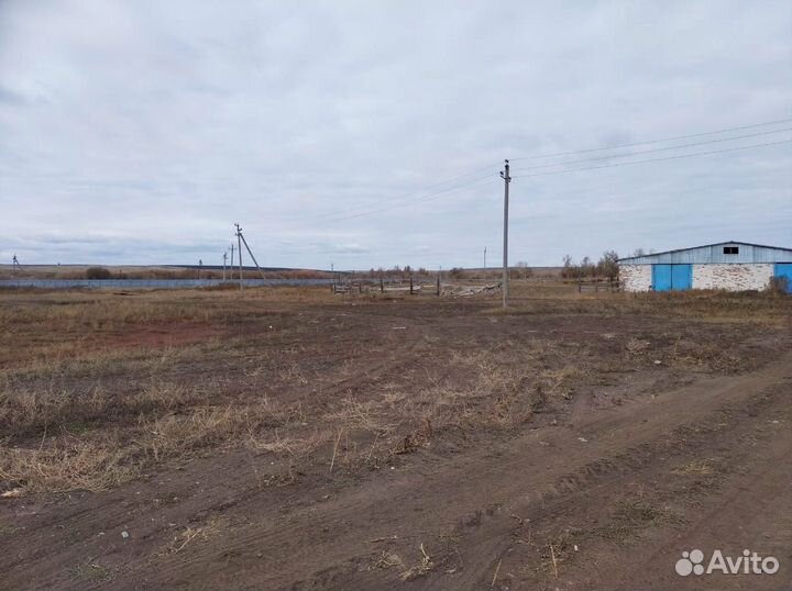 Сдается в аренду животноводческий комплекс