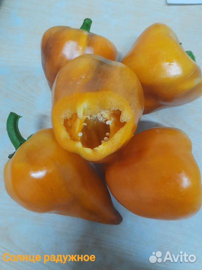 Семена сладкого перца