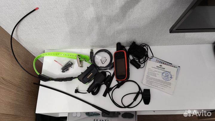 Garmin Alpha 100 с ошейником TT15 Ростест