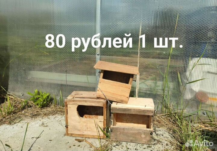 Клетка для попугая