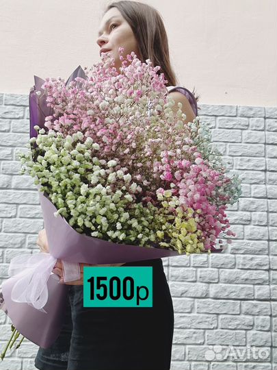 Радужная гипсофила