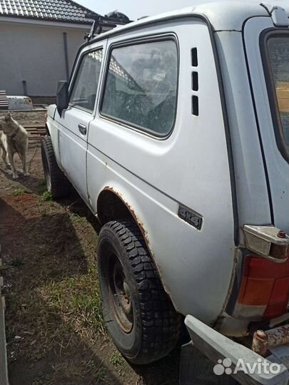 Стекла на ниву