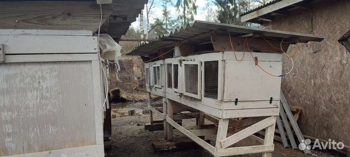 Клетки для кроликов