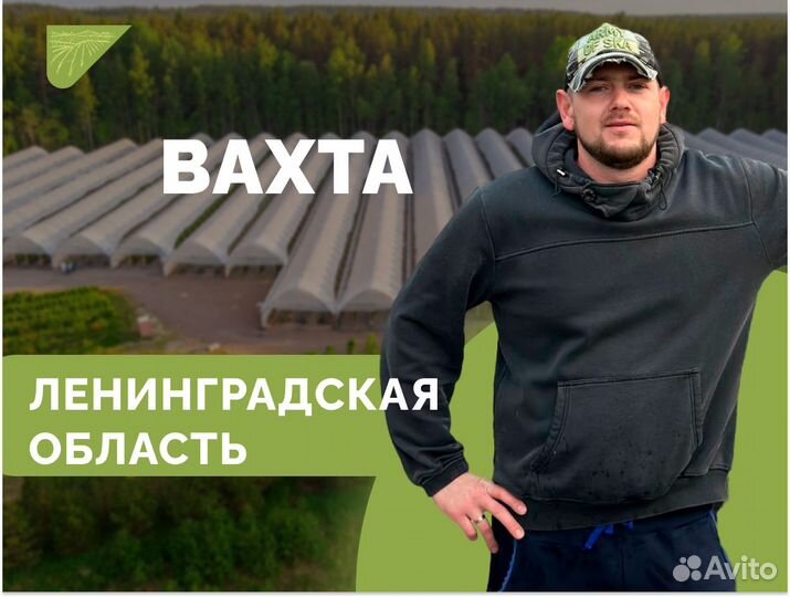 Работник на сбор урожая