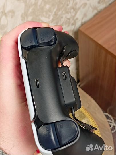 Кастомный Dualsense PS5 Besavior