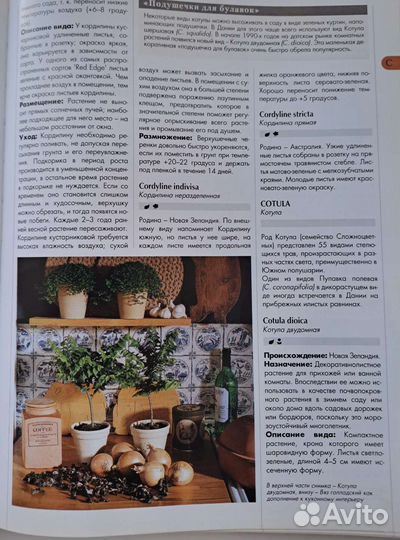 Энциклопедия 