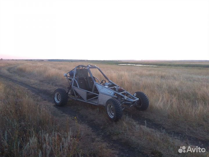 Багги барракуда