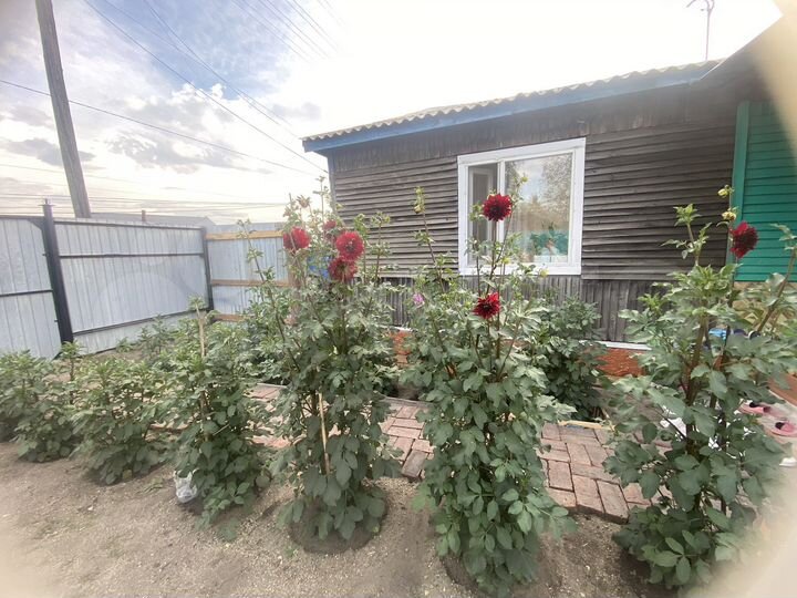 Дом 78,6 м² на участке 3 сот.