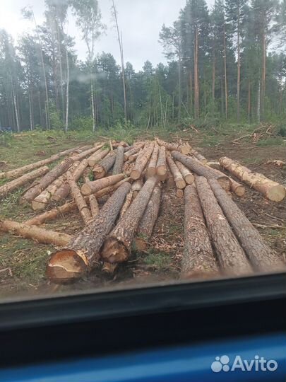 Лес кругляк пиловочник