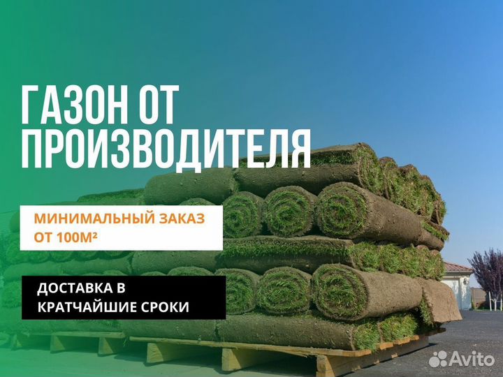 Рулонный газон/продажа/укладка
