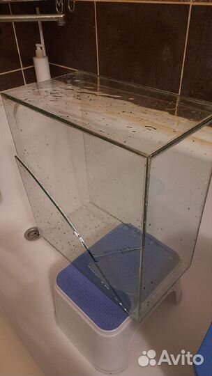 Растения искуств, медуза, щетка