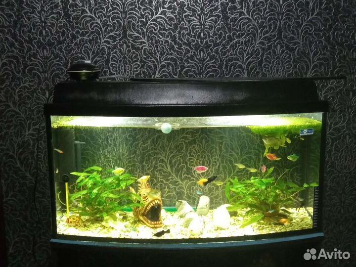 Аквариум с тумбой