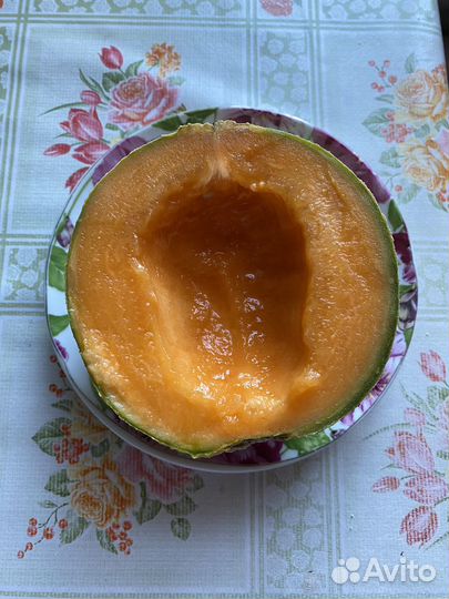 Семена дыни-малютки