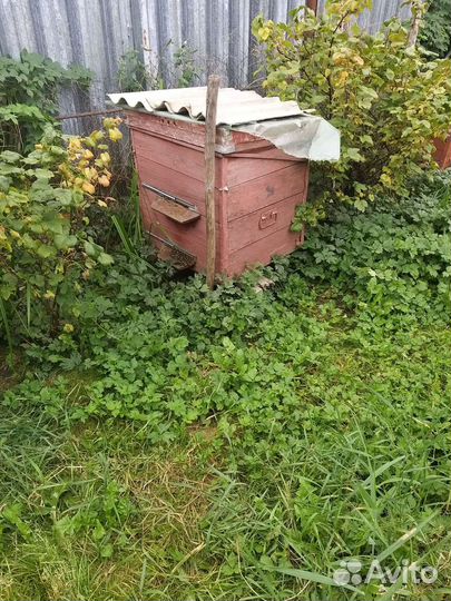 Продам семьи пчел