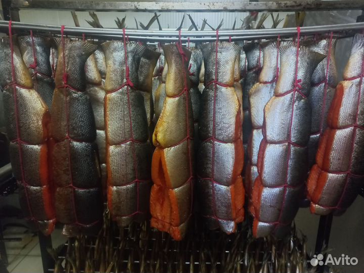 Форель х/к г/к в наличии