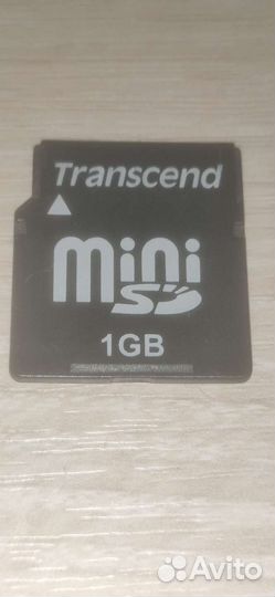 MiniSD 1 GB
