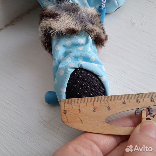 Одежда и обувь для маленьких собак