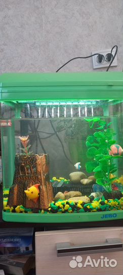 Аквариум