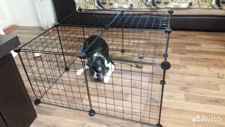 Клетка вольер для собак