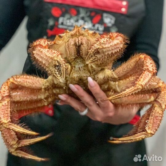 Краб камчатский