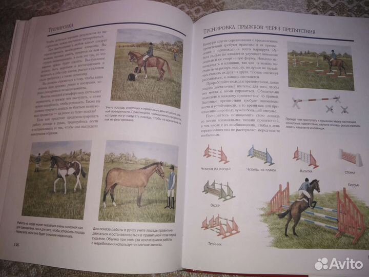 Книга для детей и подростков. Энциклопедия Лошади