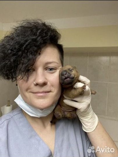 Ветеринарный врач на дом