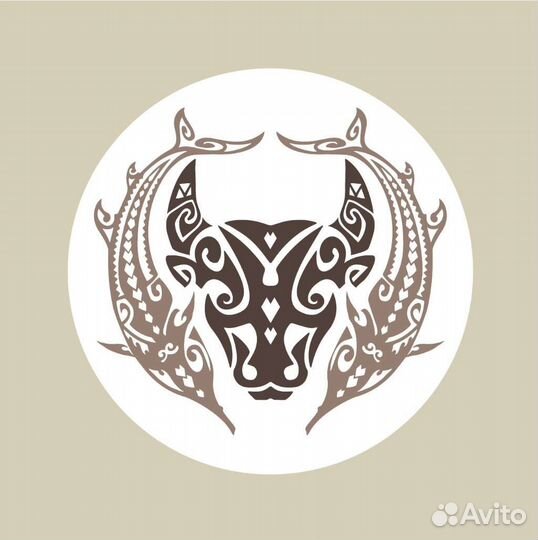 Продавец кассир в магазин