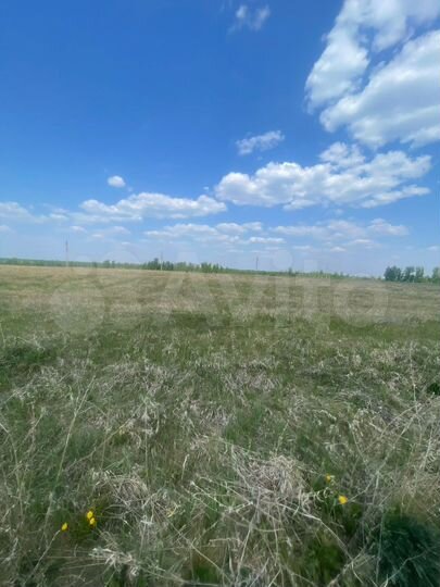 Участок 72 га (СНТ, ДНП)